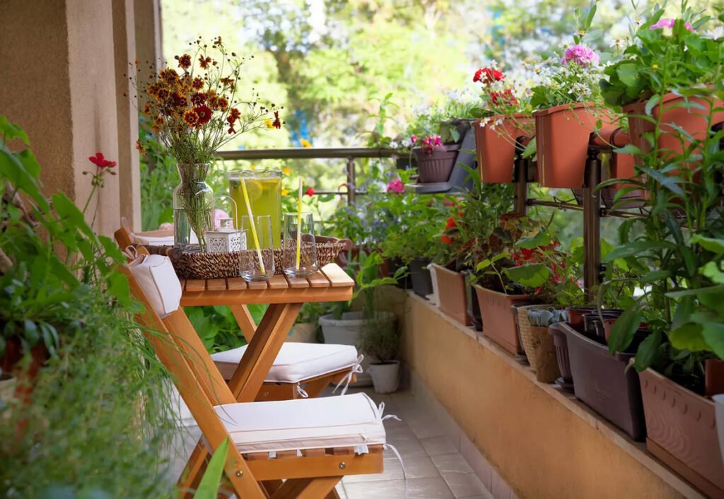 دليل إنشاء مزرعة صغيرة في المنزل حتى لو كنت في شقة صغيرة عربيّةكوم Arrabiacom دليل إنشاء مزرعة صغيرة في المنزل حتى لو كنت في شقة صغيرة