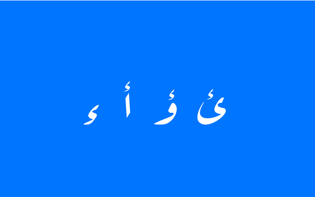 الكلمة التي كتبت همزتها بشكلٍ صحيح فيما يلي هي