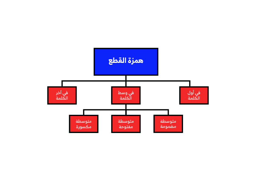 الكلمة التي كتبت همزتها بشكلٍ صحيح فيما يلي هي