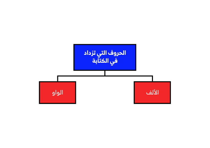 الكلمة التي كتبت همزتها بشكلٍ صحيح فيما يلي هي